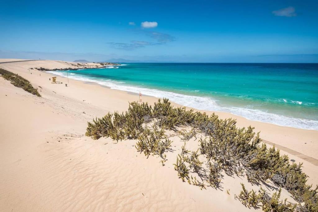 B-Rent Alisios Playa Isla Bonita Leilighet Corralejo Eksteriør bilde