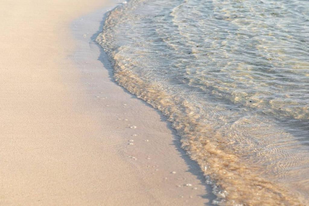 B-Rent Alisios Playa Isla Bonita Leilighet Corralejo Eksteriør bilde